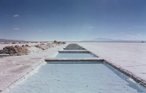 salinas salina